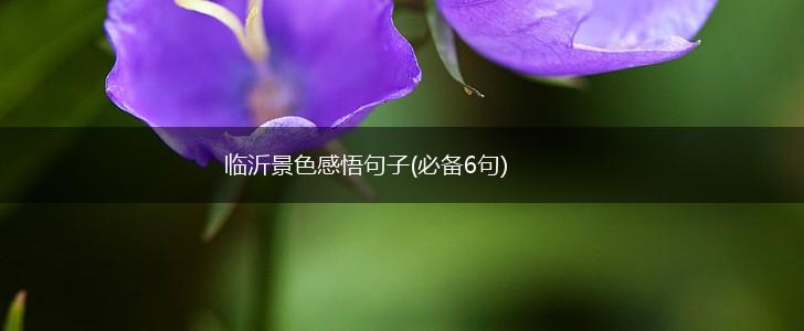 临沂景色感悟句子(必备6句),第1张