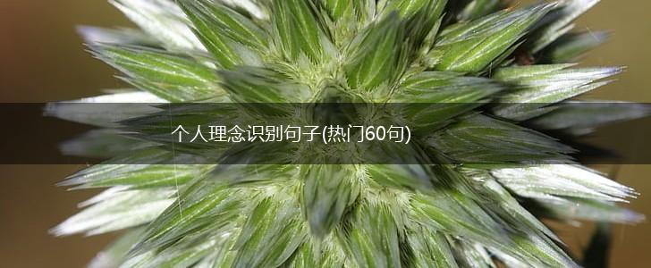 个人理念识别句子(热门60句),第1张