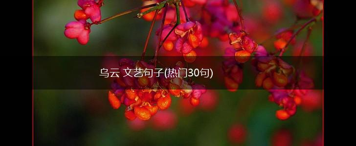 乌云 文艺句子(热门30句),第1张