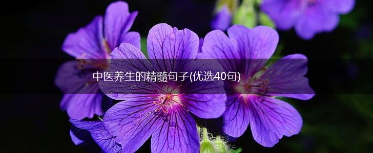 中医养生的精髓句子(优选40句),第1张