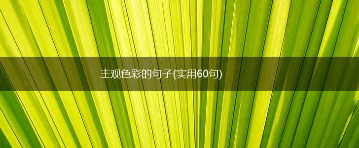 主观色彩的句子(实用60句),第1张