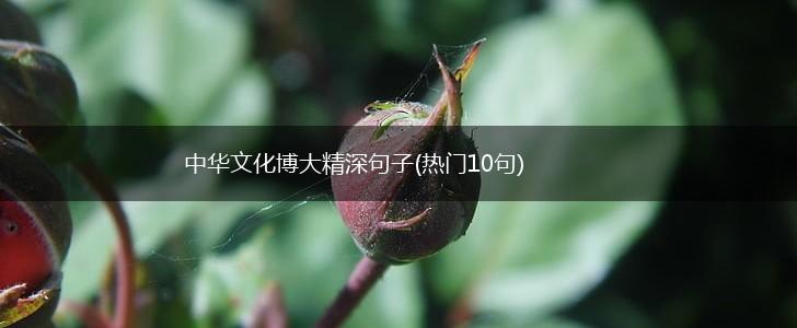 中华文化博大精深句子(热门10句),第1张