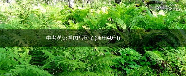 中考英语看图写句子(通用40句),第1张