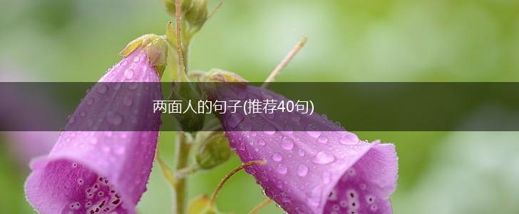两面人的句子(推荐40句),第1张