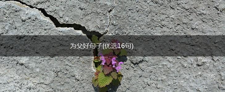 为父好句子(优选16句),第1张