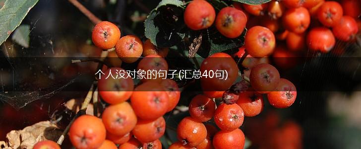 个人没对象的句子(汇总40句),第1张