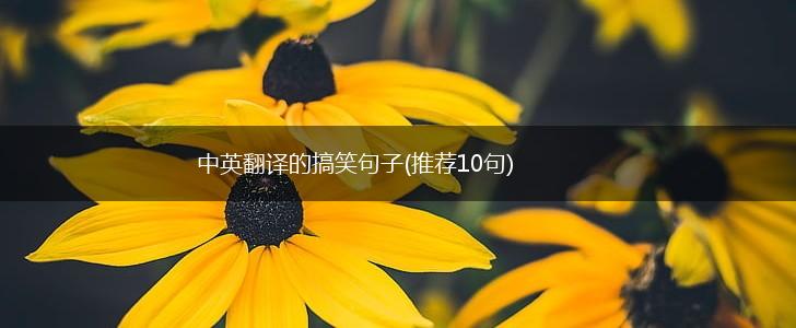 中英翻译的搞笑句子(推荐10句),第1张