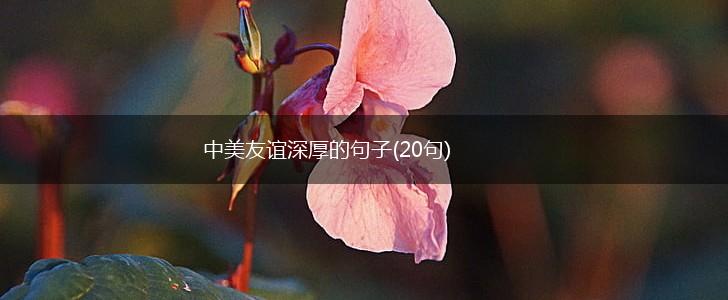 中美友谊深厚的句子(20句),第1张