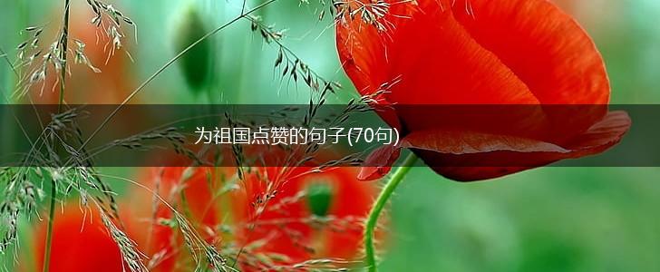 为祖国点赞的句子(70句),第1张