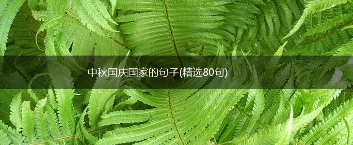 中秋国庆国家的句子(精选80句),第1张