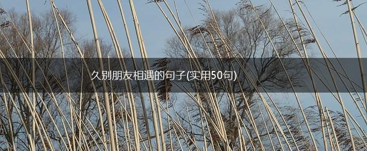 久别朋友相遇的句子(实用50句),第1张