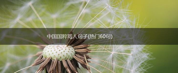 中国国粹骂人句子(热门60句),第1张