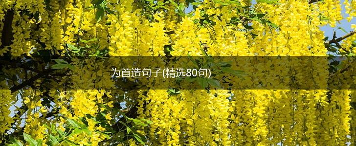 为首造句子(精选80句),第1张