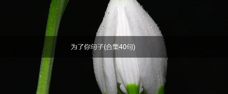 为了你句子(合集40句),第1张