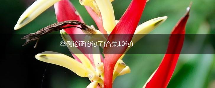 举例论证的句子(合集10句),第1张