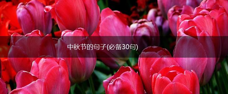 中秋节的句子(必备30句),第1张