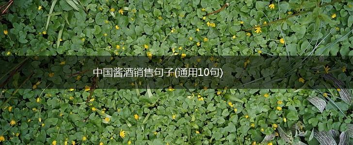中国酱酒销售句子(通用10句),第1张