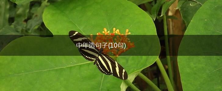 中年造句子(10句),第1张