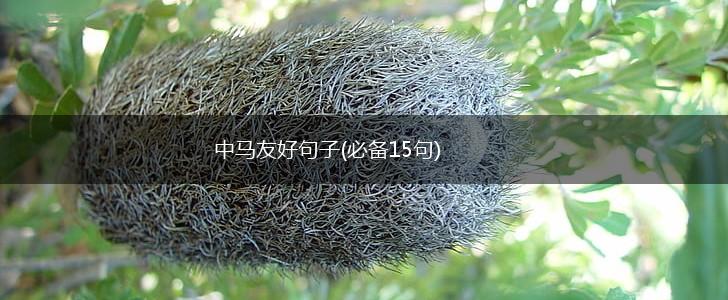 中马友好句子(必备15句),第1张