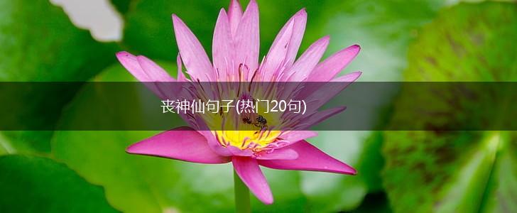 丧神仙句子(热门20句),第1张