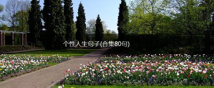 个性人生句子(合集80句),第1张