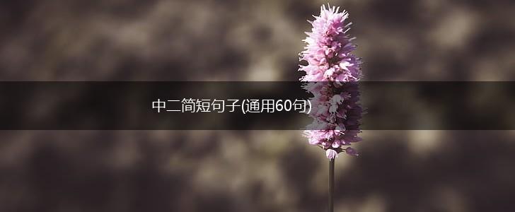 中二简短句子(通用60句),第1张