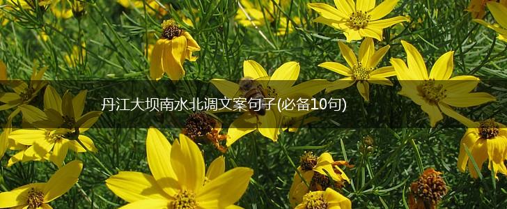 丹江大坝南水北调文案句子(必备10句),第1张