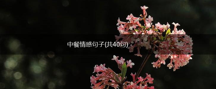 中餐情感句子(共40句),第1张