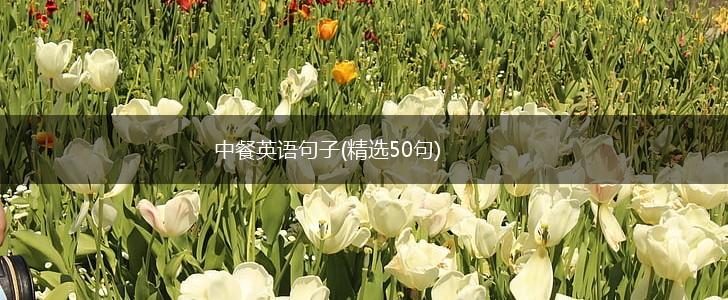 中餐英语句子(精选50句),第1张