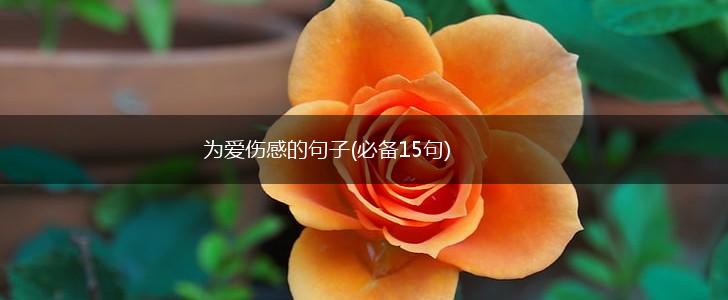 为爱伤感的句子(必备15句),第1张