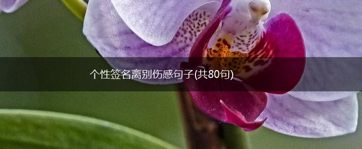 个性签名离别伤感句子(共80句),第1张