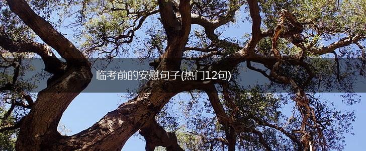 临考前的安慰句子(热门12句),第1张