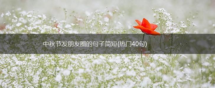 中秋节发朋友圈的句子简短(热门40句),第1张