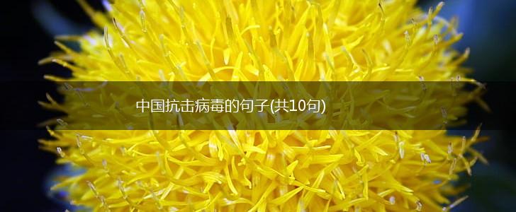 中国抗击病毒的句子(共10句),第1张