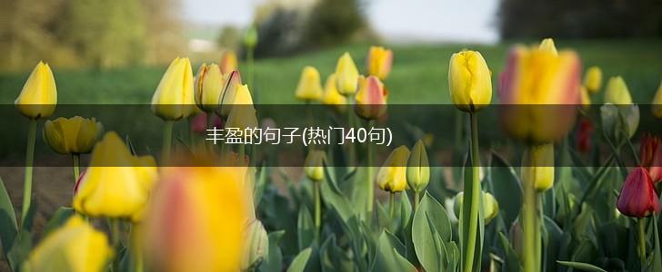 丰盈的句子(热门40句),第1张