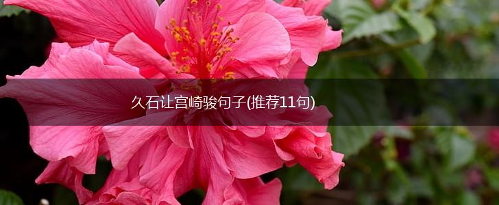 久石让宫崎骏句子(推荐11句),第1张