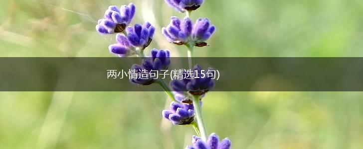 两小情造句子(精选15句),第1张