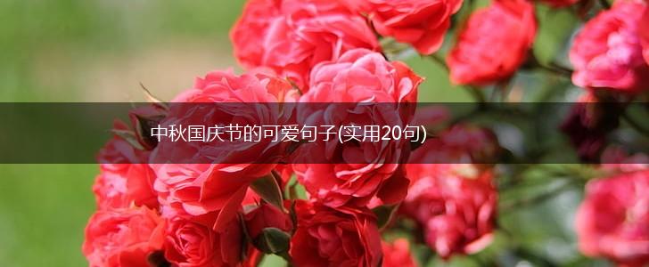 中秋国庆节的可爱句子(实用20句),第1张