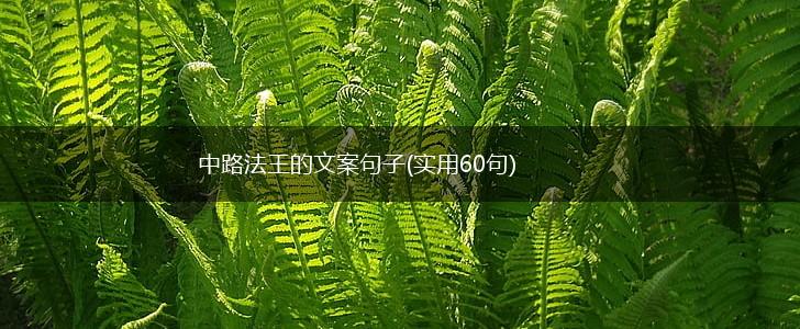 中路法王的文案句子(实用60句),第1张