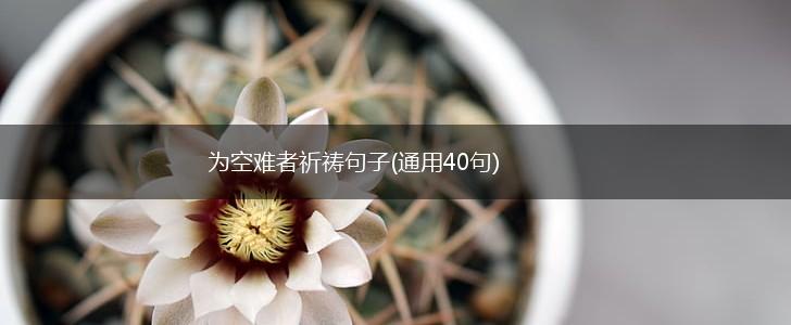 为空难者祈祷句子(通用40句),第1张