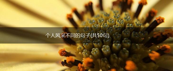 个人风采不同的句子(共50句),第1张