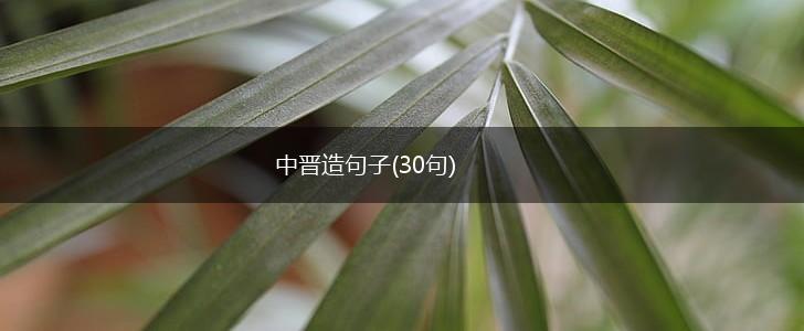 中晋造句子(30句),第1张