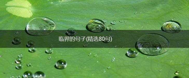 临界的句子(精选80句),第1张