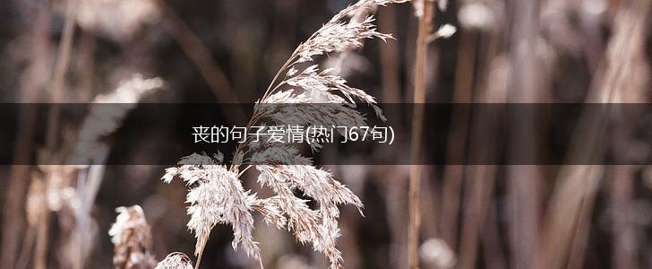 丧的句子爱情(热门67句),第1张