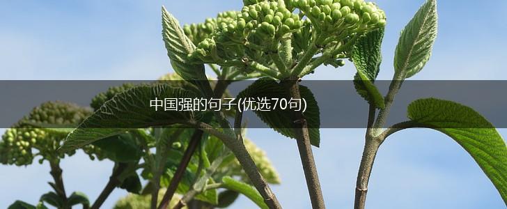 中国强的句子(优选70句),第1张