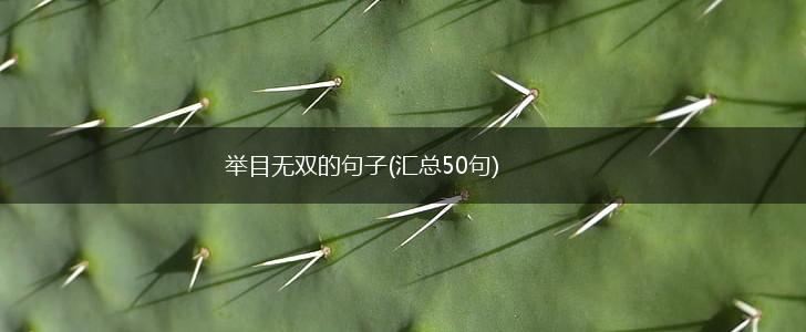 举目无双的句子(汇总50句),第1张