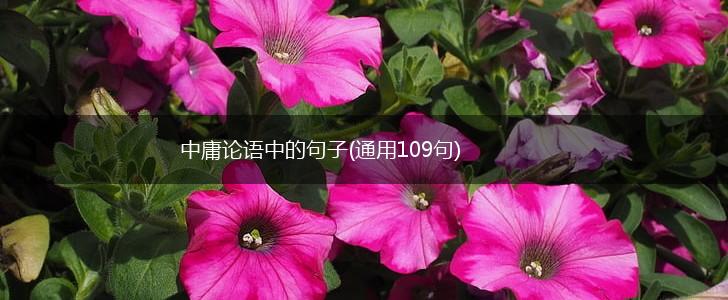 中庸论语中的句子(通用109句),第1张