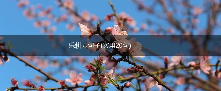 乐耕园句子(实用20句),第1张