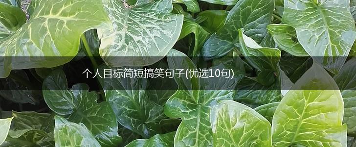 个人目标简短搞笑句子(优选10句),第1张