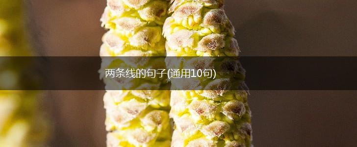 两条线的句子(通用10句),第1张